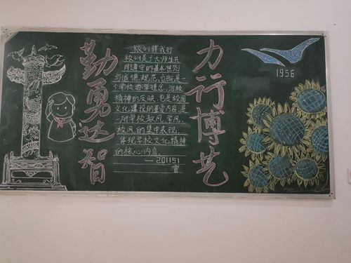 1604561157129861.jpg