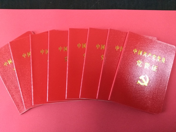1482286101627391.jpg