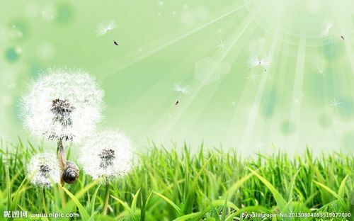 1574842886682158.jpg 1_fw658.jpg