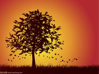 1541509592249876.jpg 2.jpg