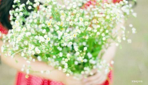 1537969604801166.jpg xintai.jpg