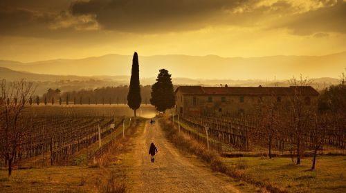 1555153921536450.jpg shuishou.jpg