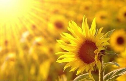 1574842315540298.jpg 2.jpg