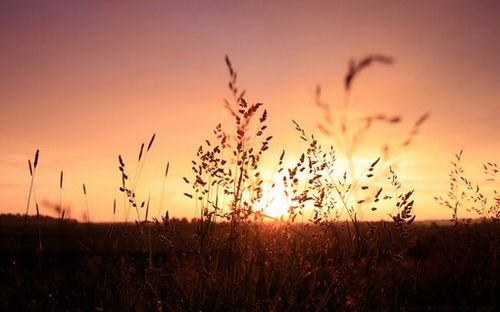 1574843040654541.jpg 3.jpg