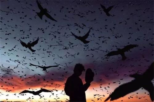 1555153639572698.jpg ditou.jpg