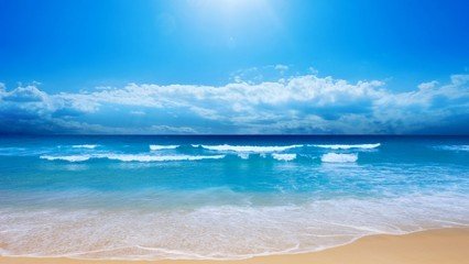 1546654256228432.jpg 6.jpg