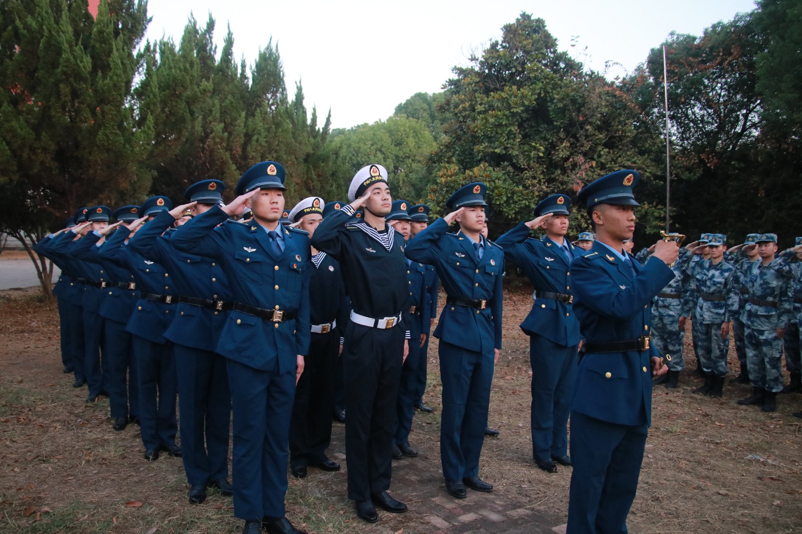 1667896646916167.jpg 1667896646916167.jpg