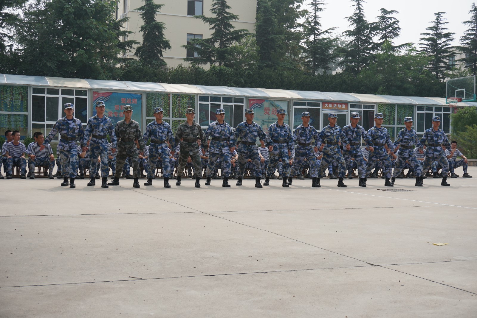 1563300016685348.jpg 1563300016685348.jpg