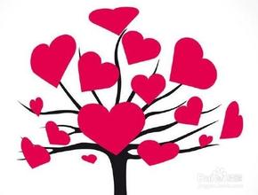 1466125471774125.jpg u=1227954045,3780228841&fm=21&gp=0.jpg