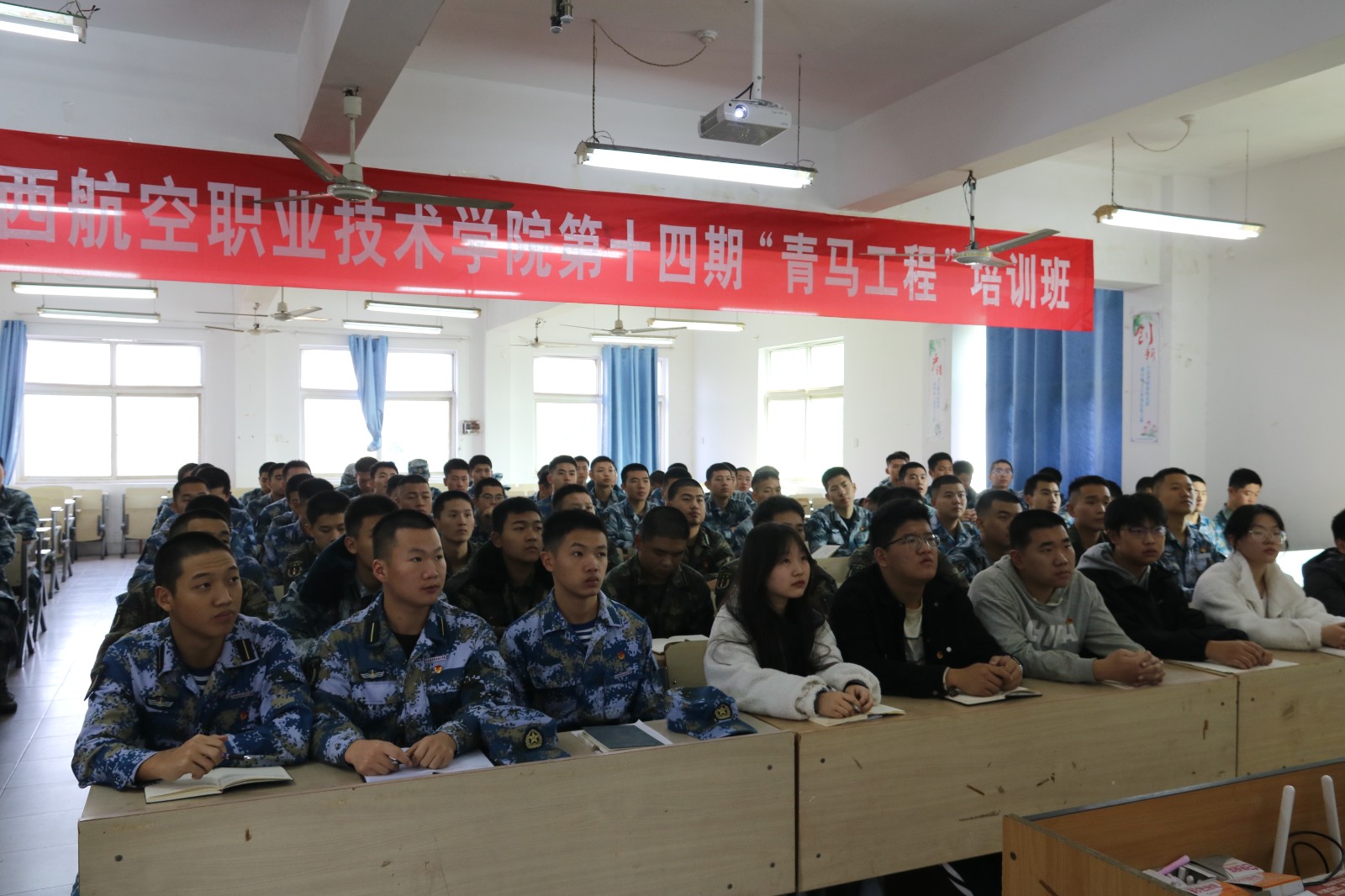 original?noCache=lp50hlcc