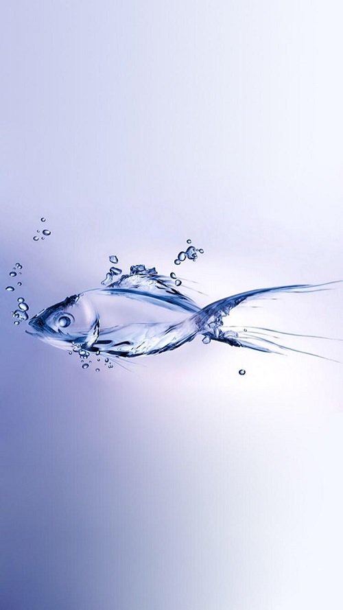 1490580234546193.jpg 3月IMG_9778.JPG