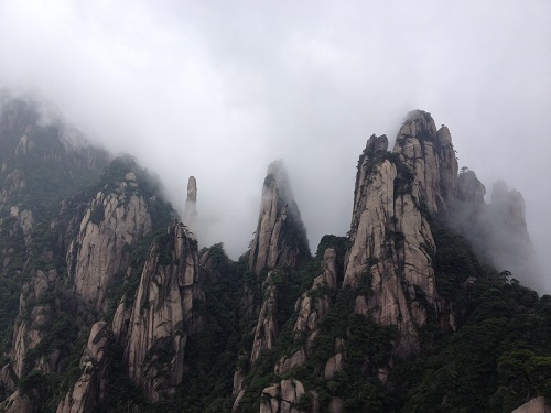 1493088925267941.jpg 3月IMG_7419.JPG