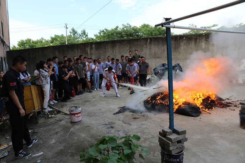 1560155114748428.jpg 1W2A3042.JPG