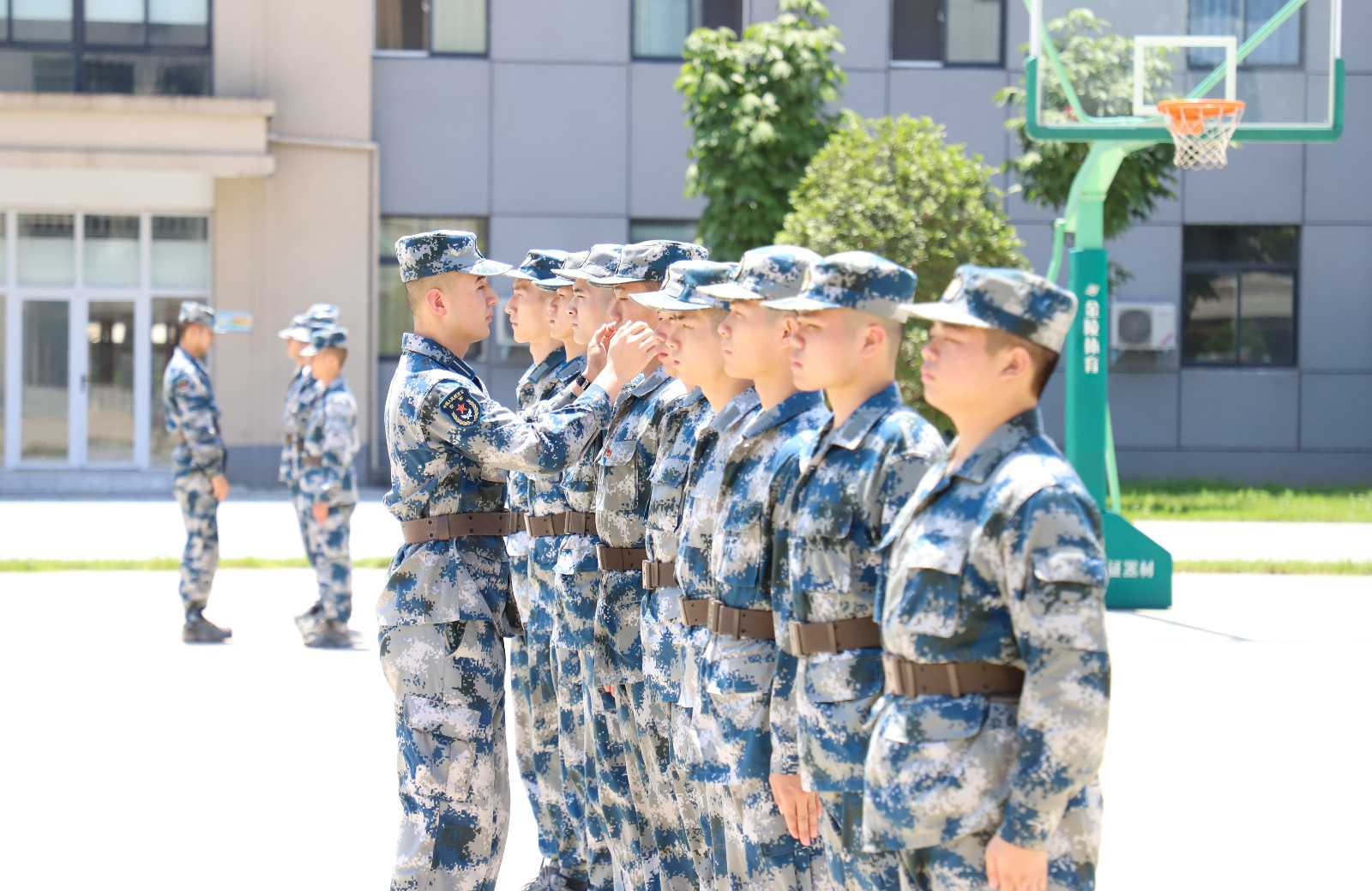 1562687275648519.jpg 2.JPG