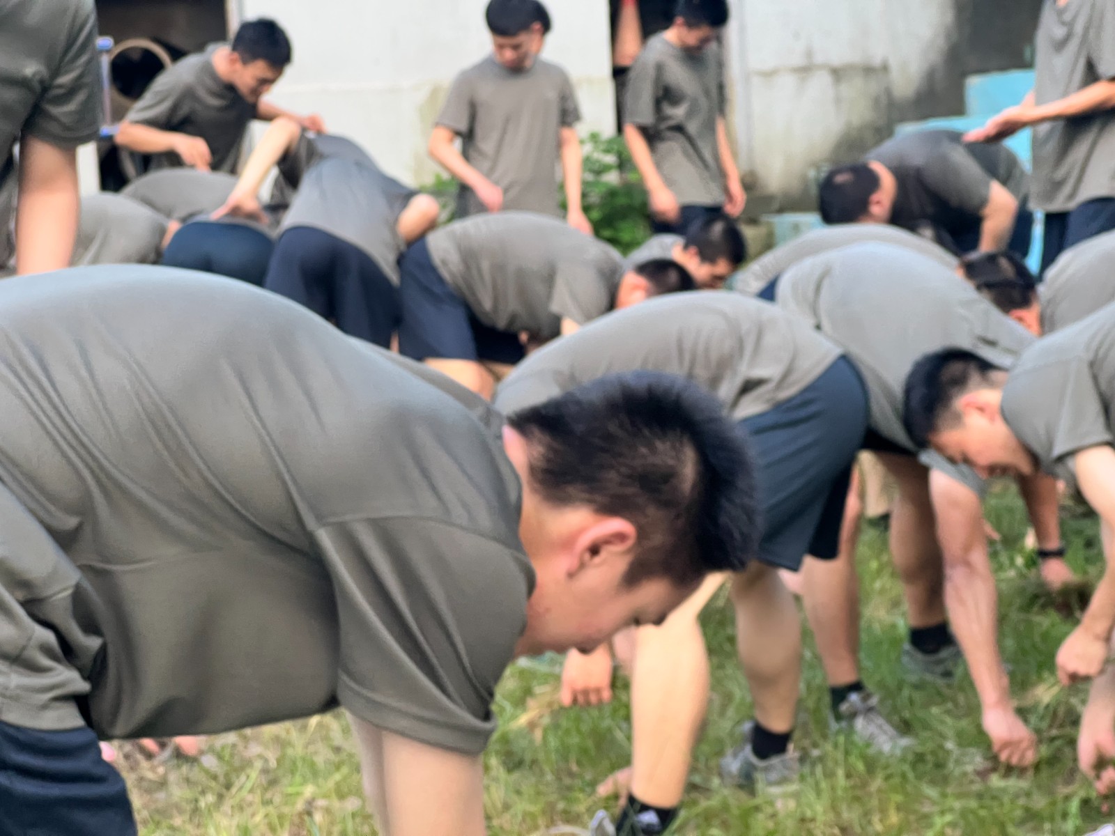 original?noCache=liads644