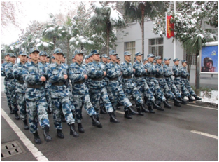 1562144915147630.png 1562144915147630.png