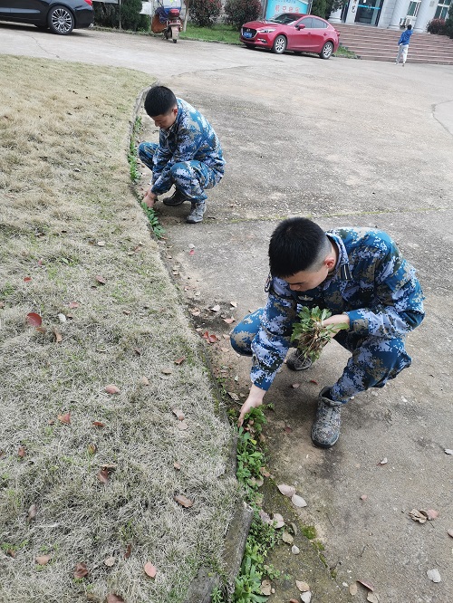 1616055306519033.jpg 微信图片_20210318000051.jpg