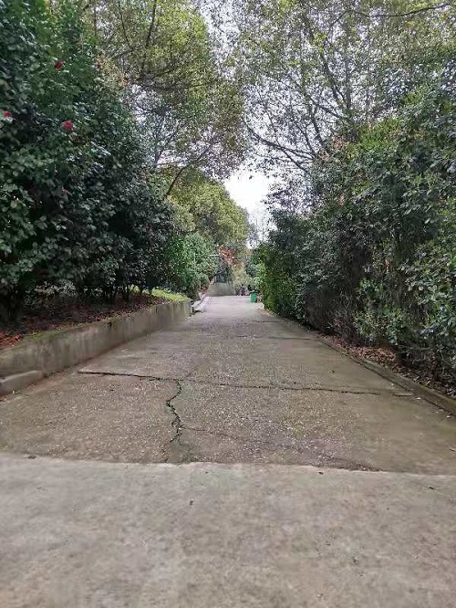 1616055441429823.jpg 微信图片_20210318000054.jpg