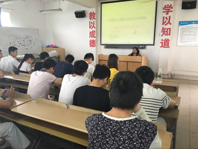 1494944791939145.jpg 6.jpg