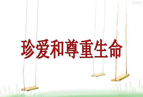 1668502990282833.jpg 24.jpg